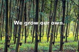 Patagonia - We grow our own